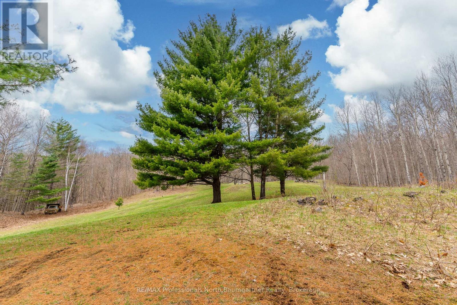 1093 Reynolds Road, Minden Hills, Ontario  K0M 2K0 - Photo 41 - X13185368