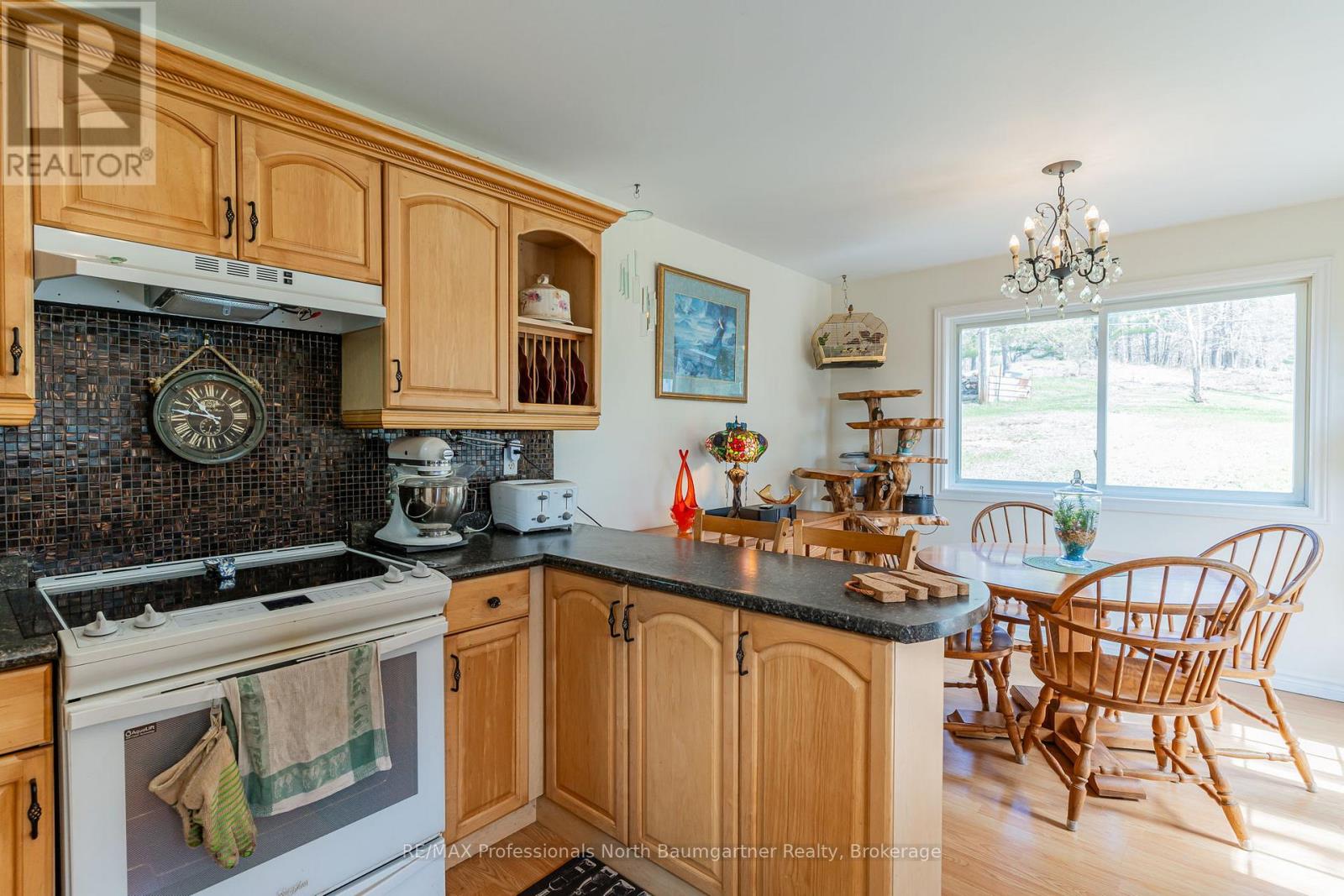 1093 Reynolds Road, Minden Hills, Ontario  K0M 2K0 - Photo 9 - X13185368