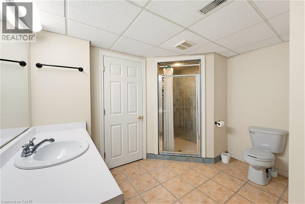 4274 Highway 56, Binbrook, Ontario  L0R 1C0 - Photo 39 - 40833720