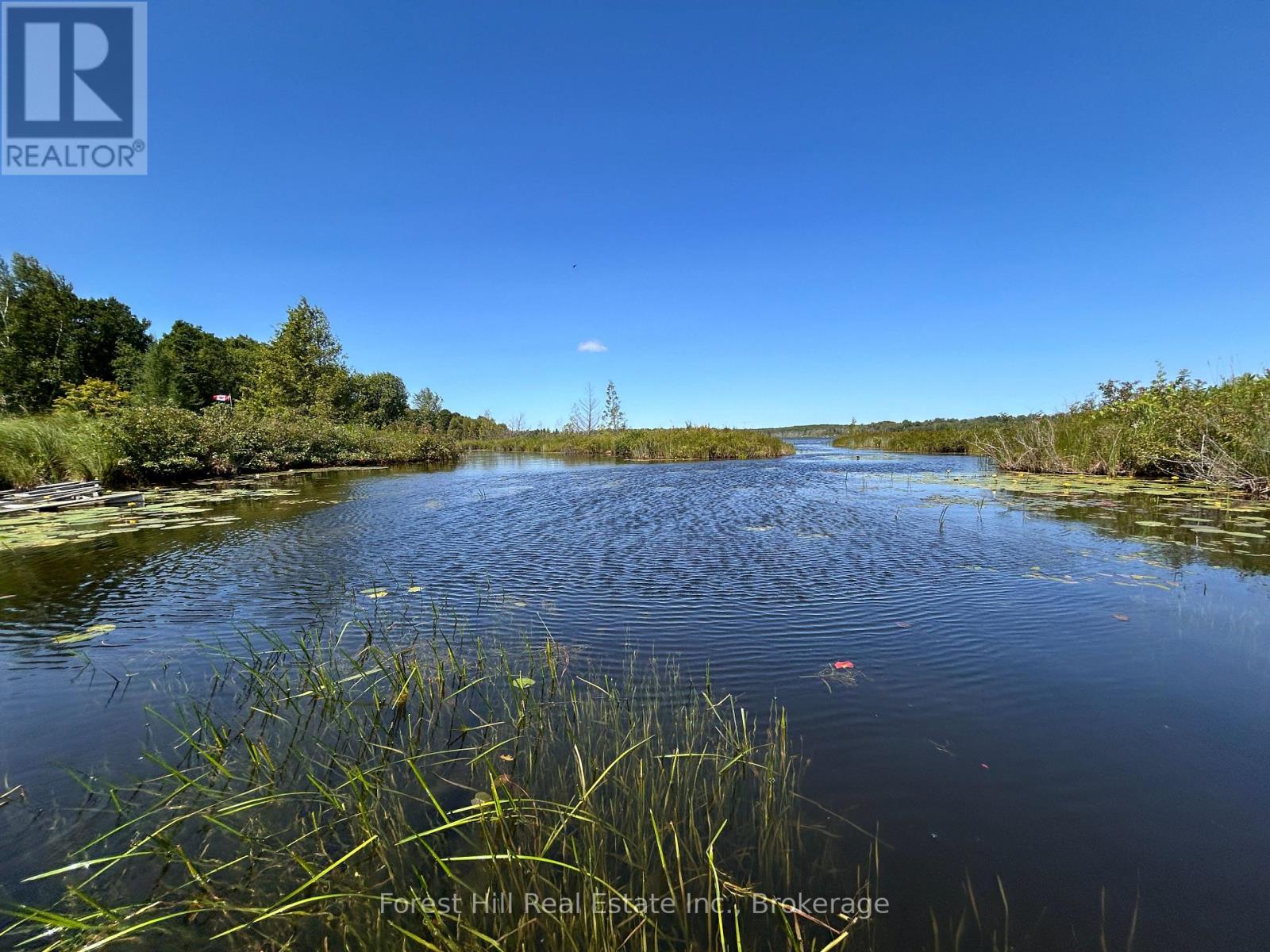 523583 12 Concession, West Grey, Ontario  N0C 1H0 - Photo 10 - X13189800