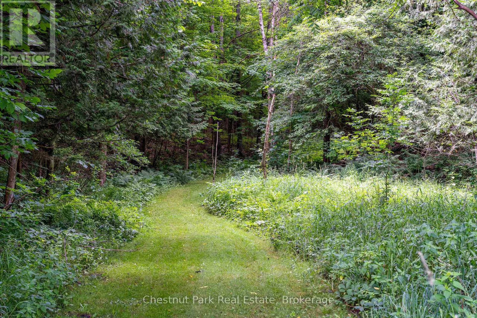838151 4th Line E, Mulmur, Ontario  L9V 0J6 - Photo 15 - X13203348