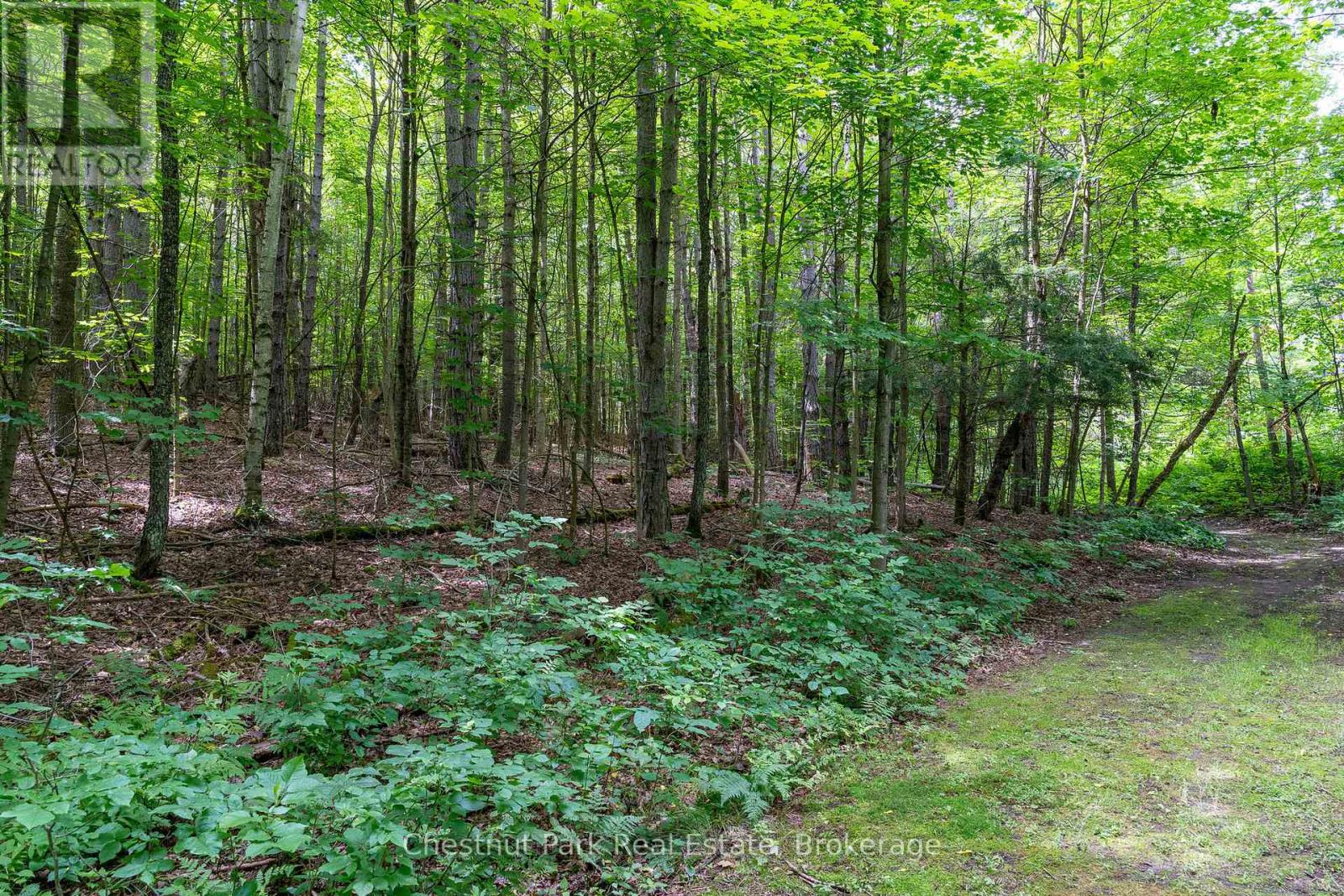 838151 4th Line E, Mulmur, Ontario  L9V 0J6 - Photo 16 - X13203348