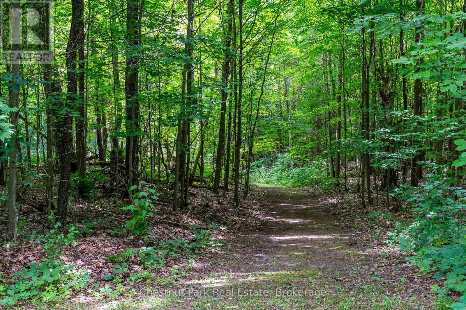 838151 4th Line E, Mulmur, Ontario  L9V 0J6 - Photo 5 - X13203348