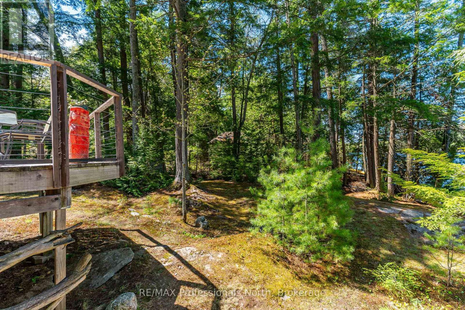 54261 Big Hawk East Shore, Algonquin Highlands, Ontario  K0M 1J1 - Photo 19 - X13205136