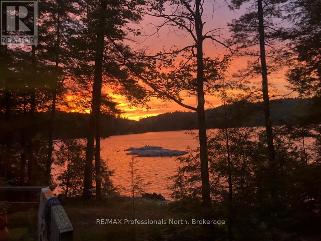 54261 Big Hawk East Shore, Algonquin Highlands, Ontario  K0M 1J1 - Photo 48 - X13205136