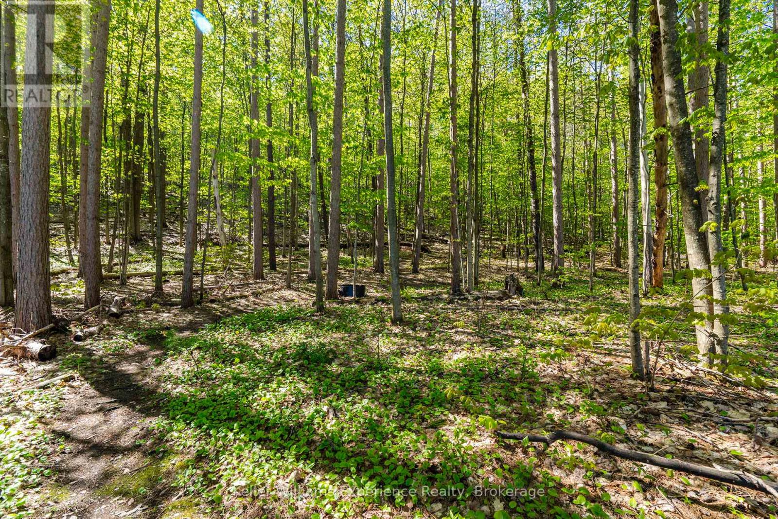 53 Therrien Court, Penetanguishene, Ontario  L9M 1P6 - Photo 21 - S13206710