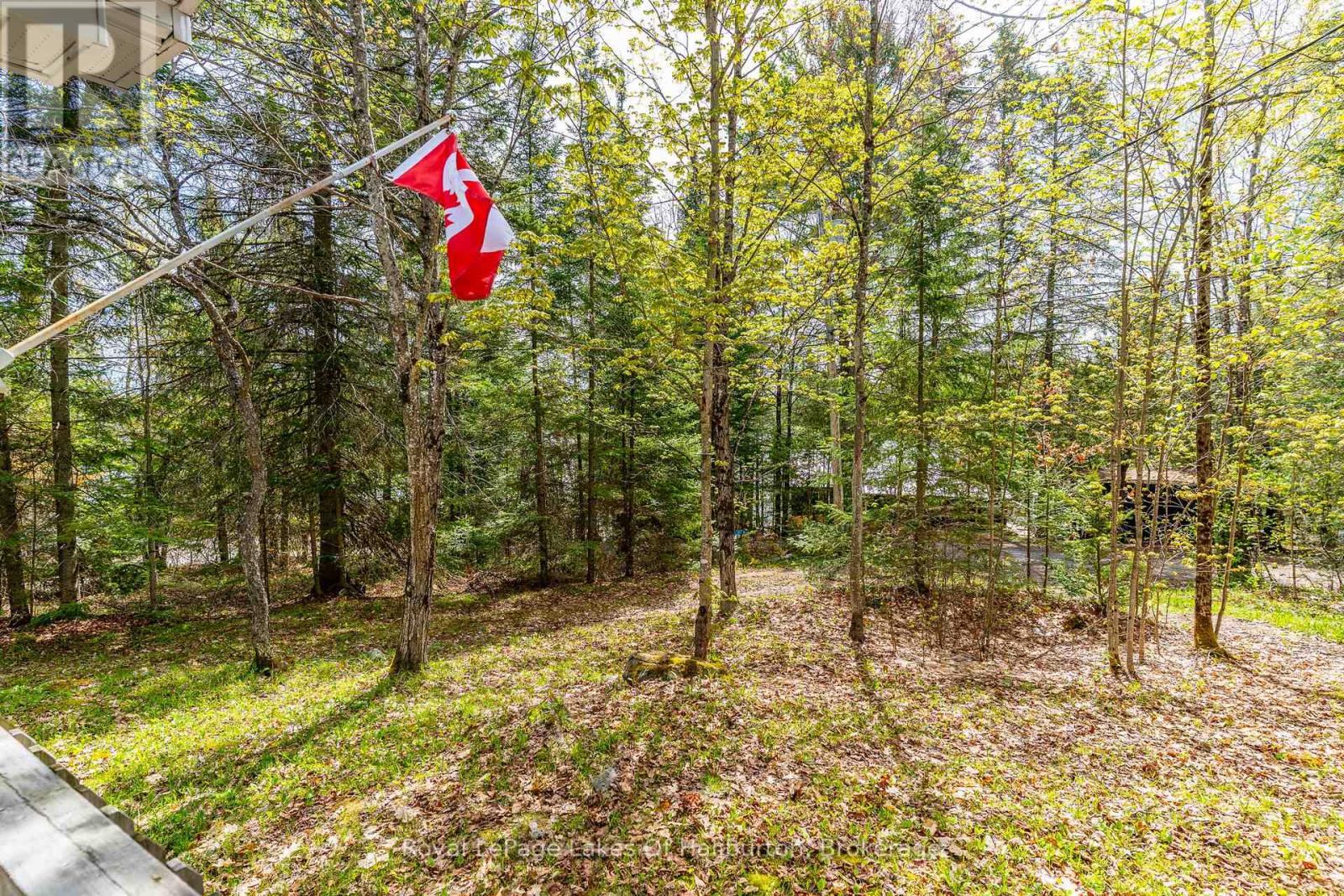 1099 Yellow Rock Drive, Highlands East, Ontario  K0M 1R0 - Photo 30 - X13207842