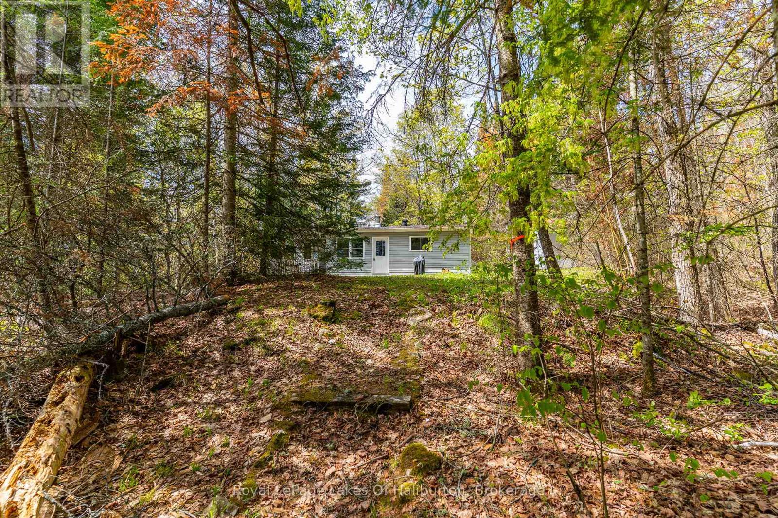 1099 Yellow Rock Drive, Highlands East, Ontario  K0M 1R0 - Photo 31 - X13207842