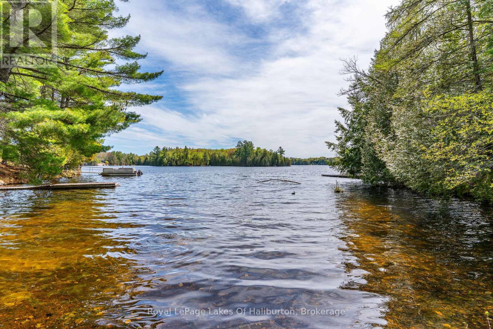 1099 Yellow Rock Drive, Highlands East, Ontario  K0M 1R0 - Photo 4 - X13207842