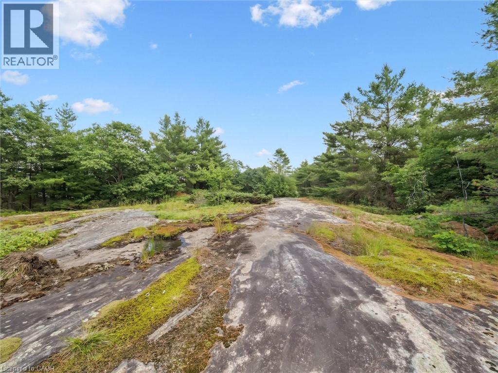 891 Peninsula Road, Gravenhurst, Ontario  P1P 0E2 - Photo 35 - 40834446