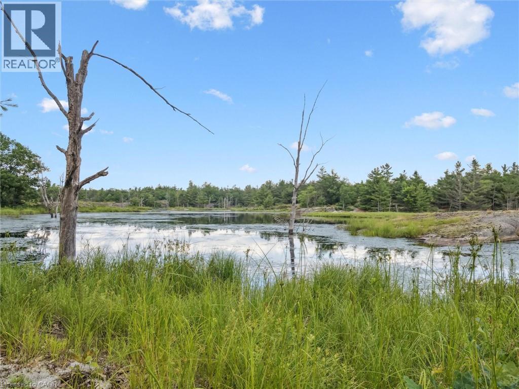 891 Peninsula Road, Gravenhurst, Ontario  P1P 0E2 - Photo 36 - 40834446