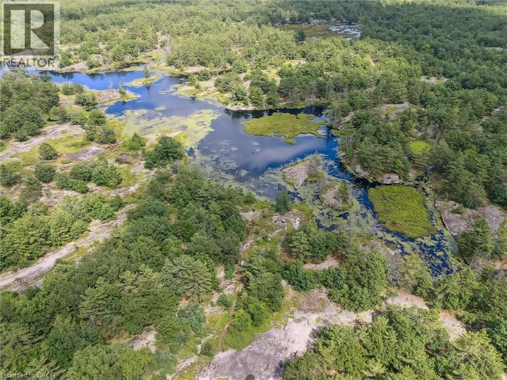 891 Peninsula Road, Gravenhurst, Ontario  P1P 0E2 - Photo 50 - 40834446