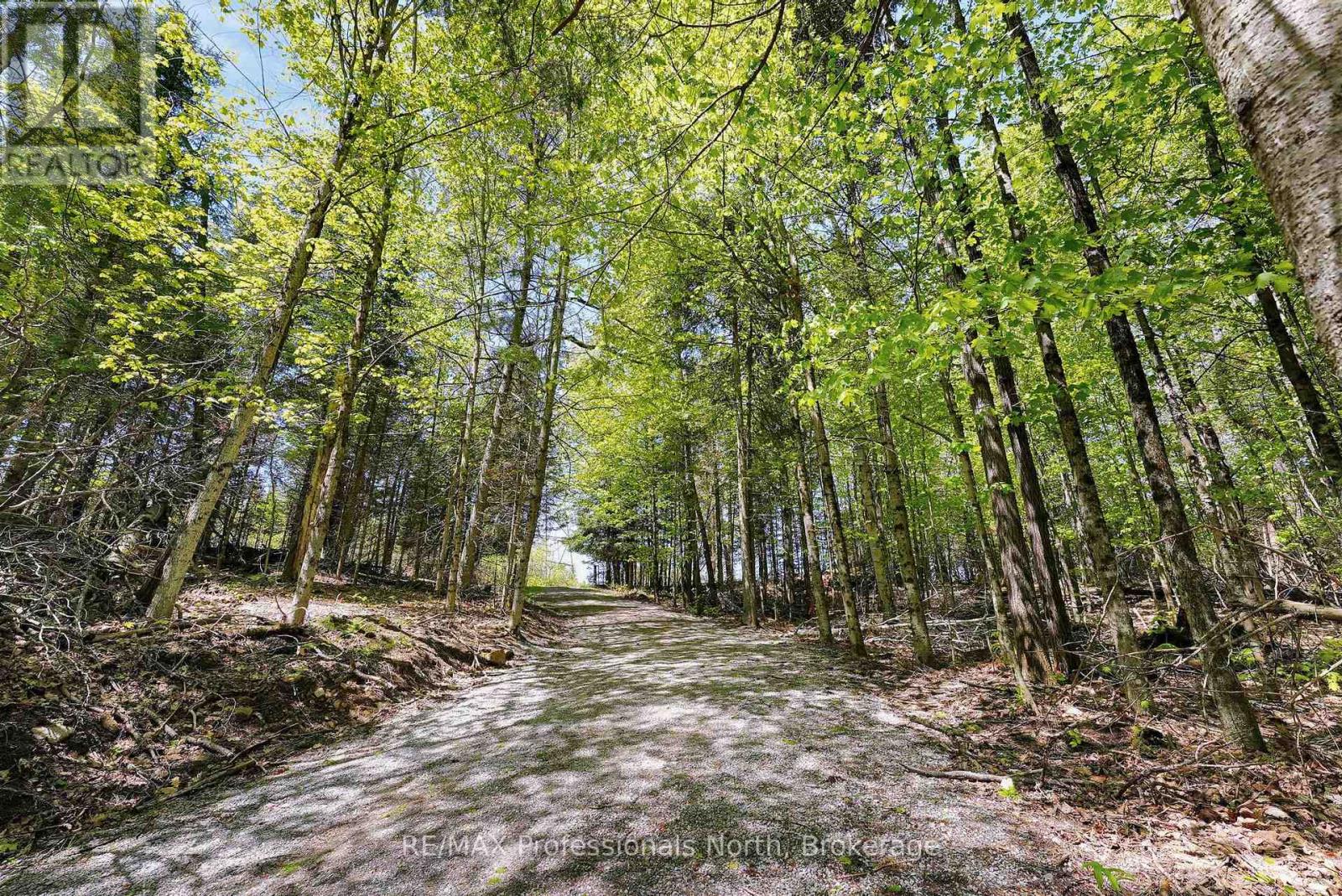 1366 Hospitality Road, Minden Hills, Ontario  K0M 2K0 - Photo 45 - X13208804