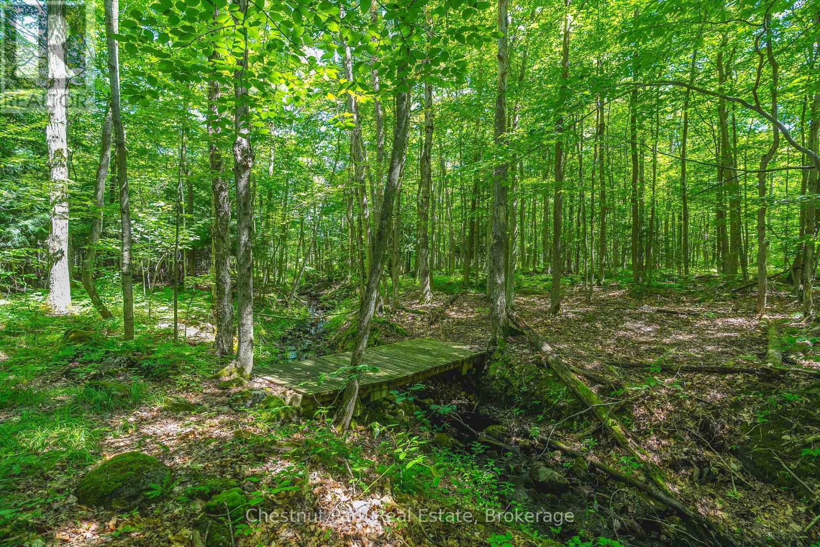 600380 Sideroad 50 N, Chatsworth, Ontario  N0H 1C0 - Photo 45 - X13212790