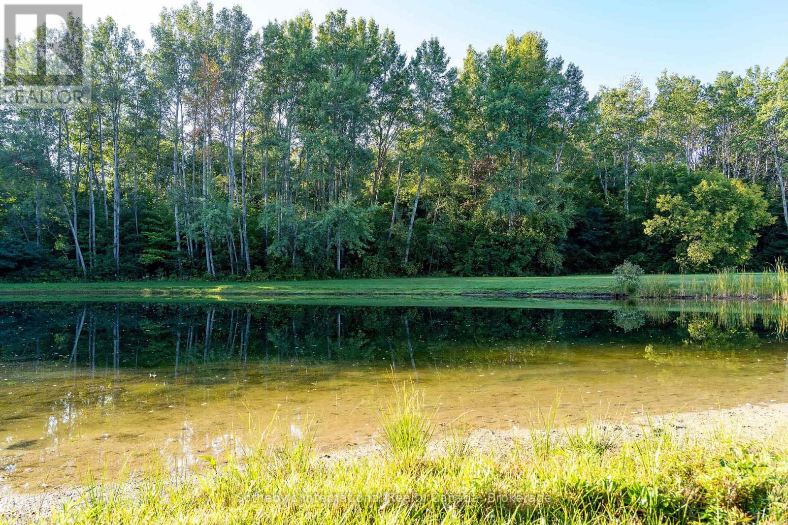 7781 Poplar Side Road, Clearview, Ontario  L9Y 5N4 - Photo 49 - S13213290