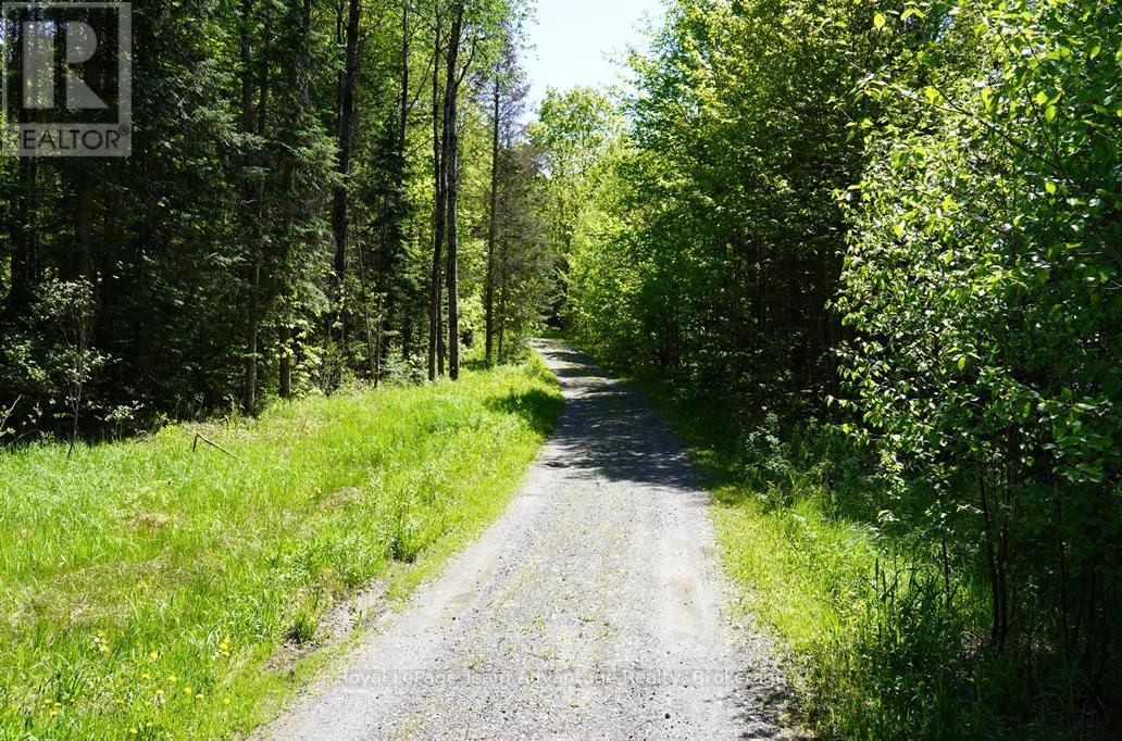 768 Hurdville Road, Mckellar, Ontario  P2A 0B5 - Photo 34 - X13213516