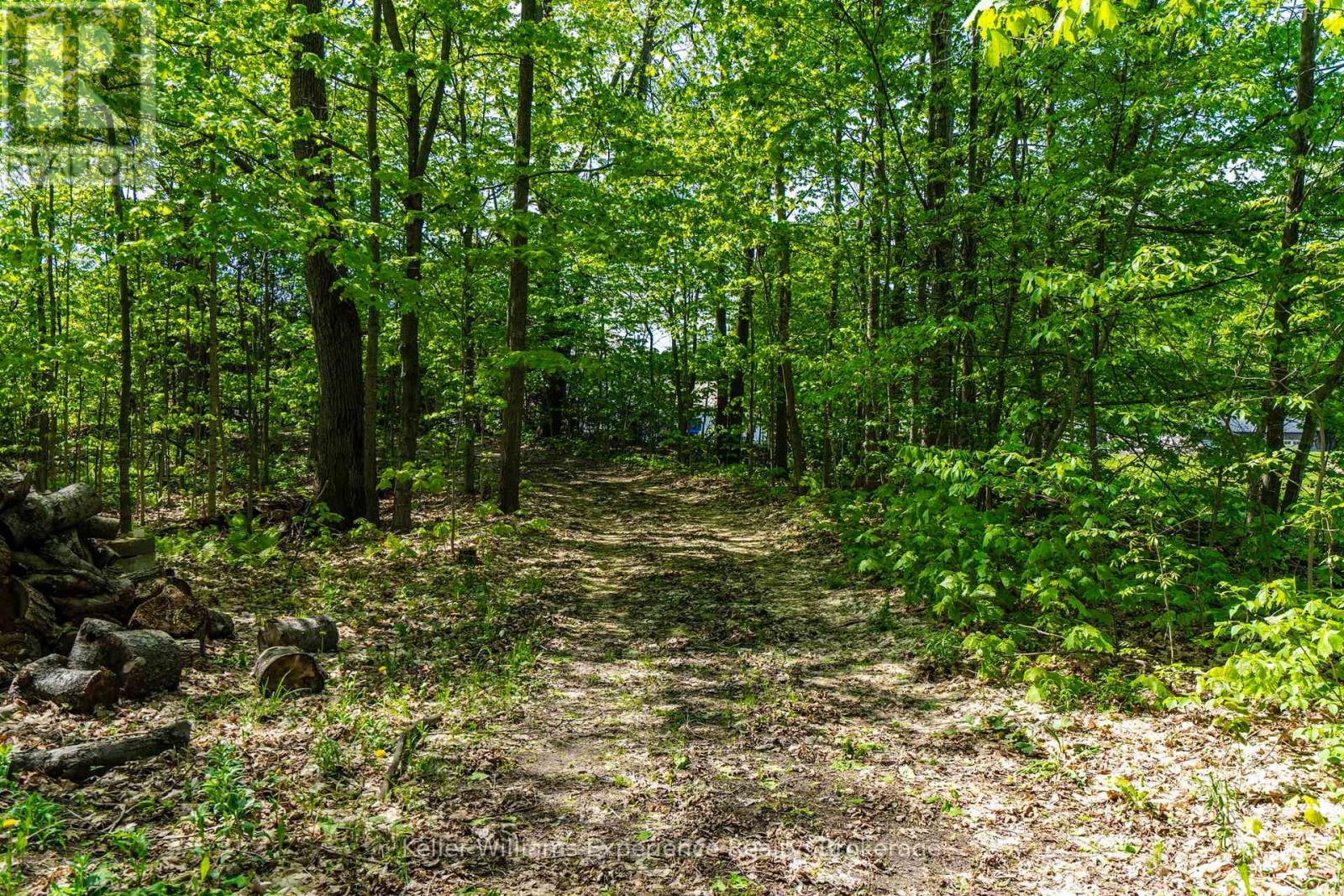 2555 Hodgins Road, Severn, Ontario  L0K 2C0 - Photo 27 - S13214304