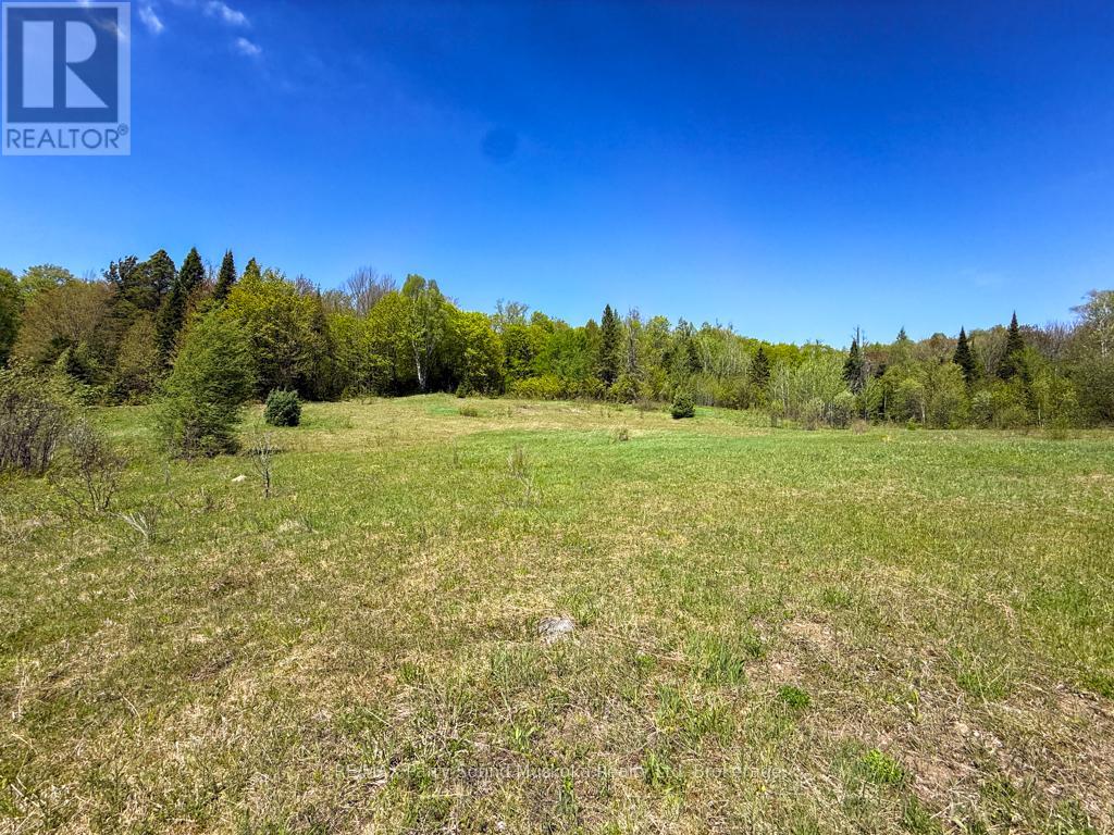 690 Hurdville Road, Mckellar, Ontario  P2A 2W7 - Photo 26 - X13214170