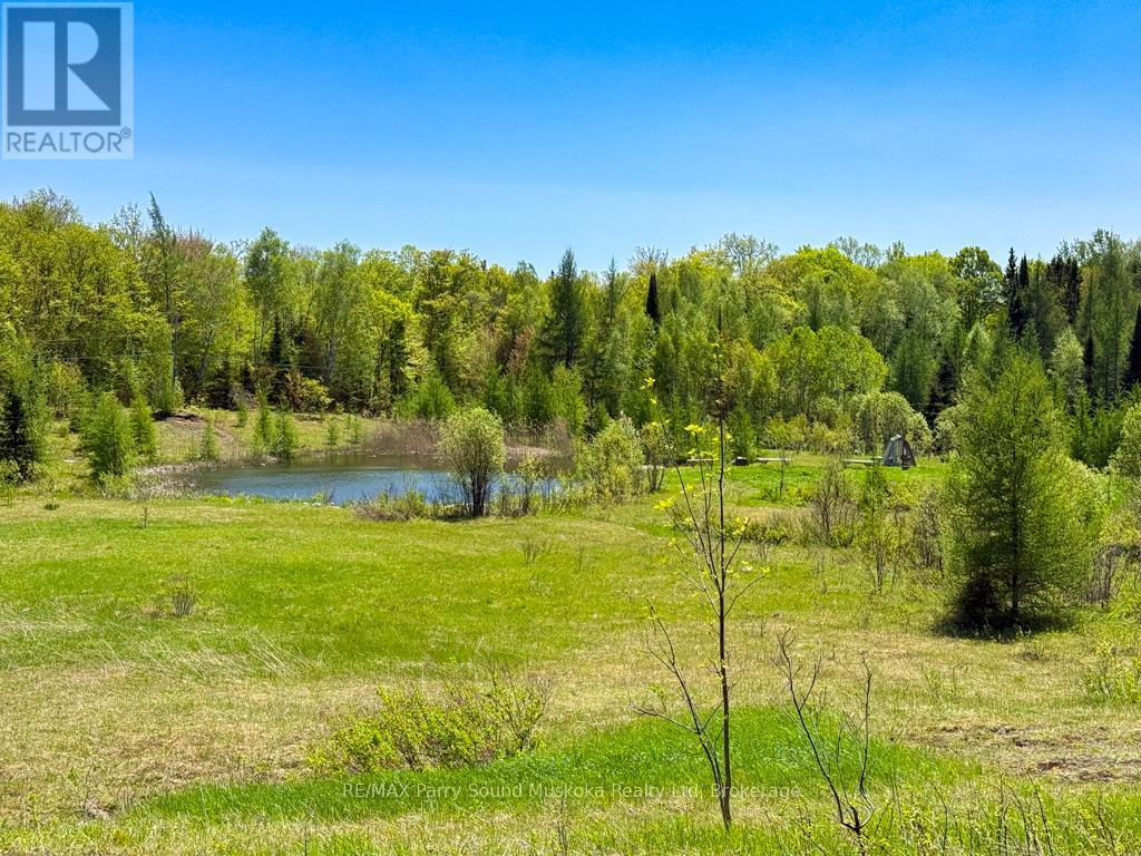690 Hurdville Road, Mckellar, Ontario  P2A 2W7 - Photo 27 - X13214170