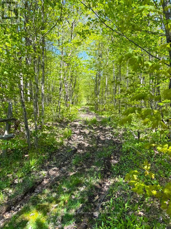 690 Hurdville Road, Mckellar, Ontario  P2A 2W7 - Photo 46 - X13214170