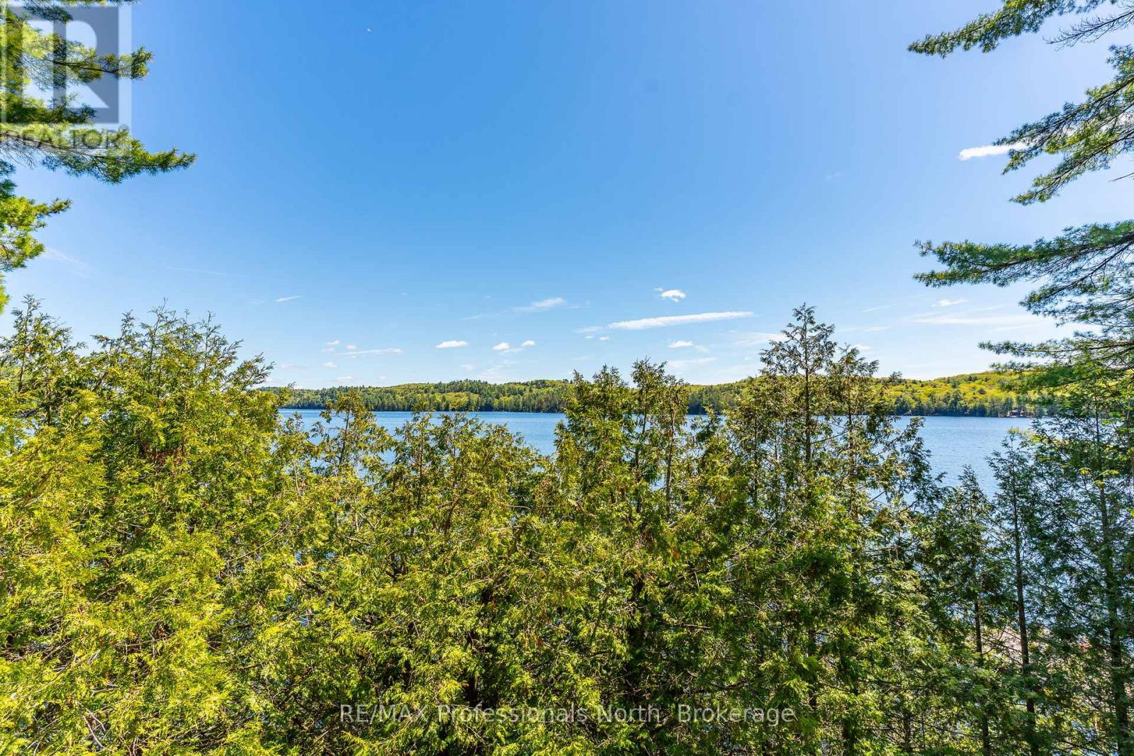 10167 Little Hawk-West Sho, Algonquin Highlands, Ontario  K0M 1S0 - Photo 23 - X13214778