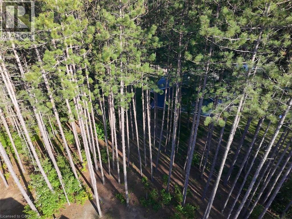 25350 C Hwy 62, Bancroft, Ontario  K0L 2L0 - Photo 37 - 40835008
