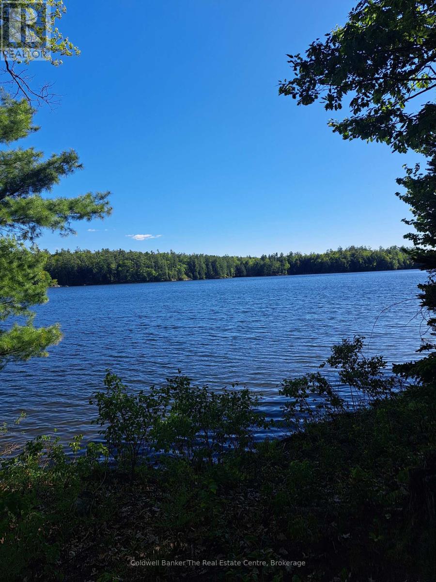1319 West Lions Head Road, Gravenhurst, Ontario  P0P 1G0 - Photo 36 - X13218998
