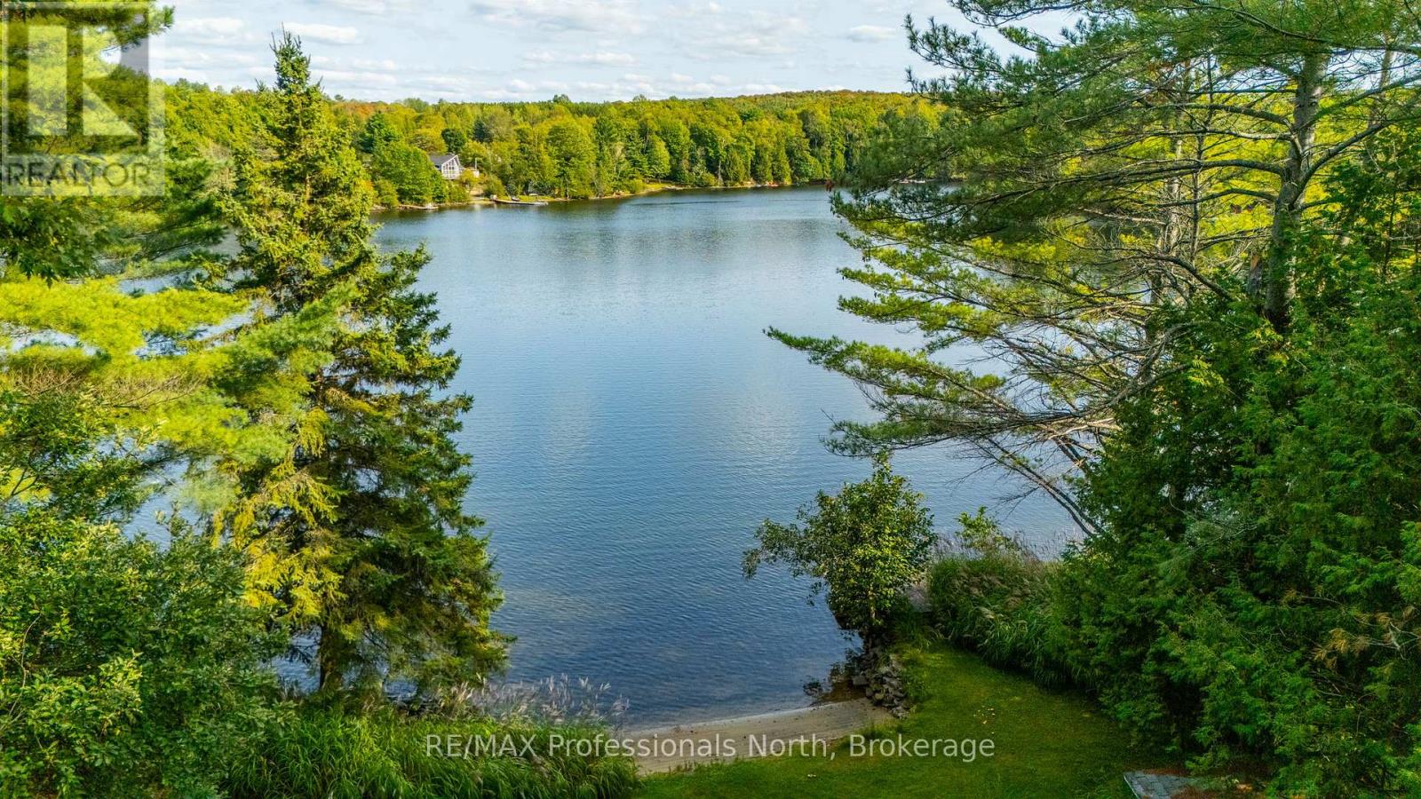 1080 Petticoat Lane, Minden Hills, Ontario  K0M 2K0 - Photo 38 - X13219136