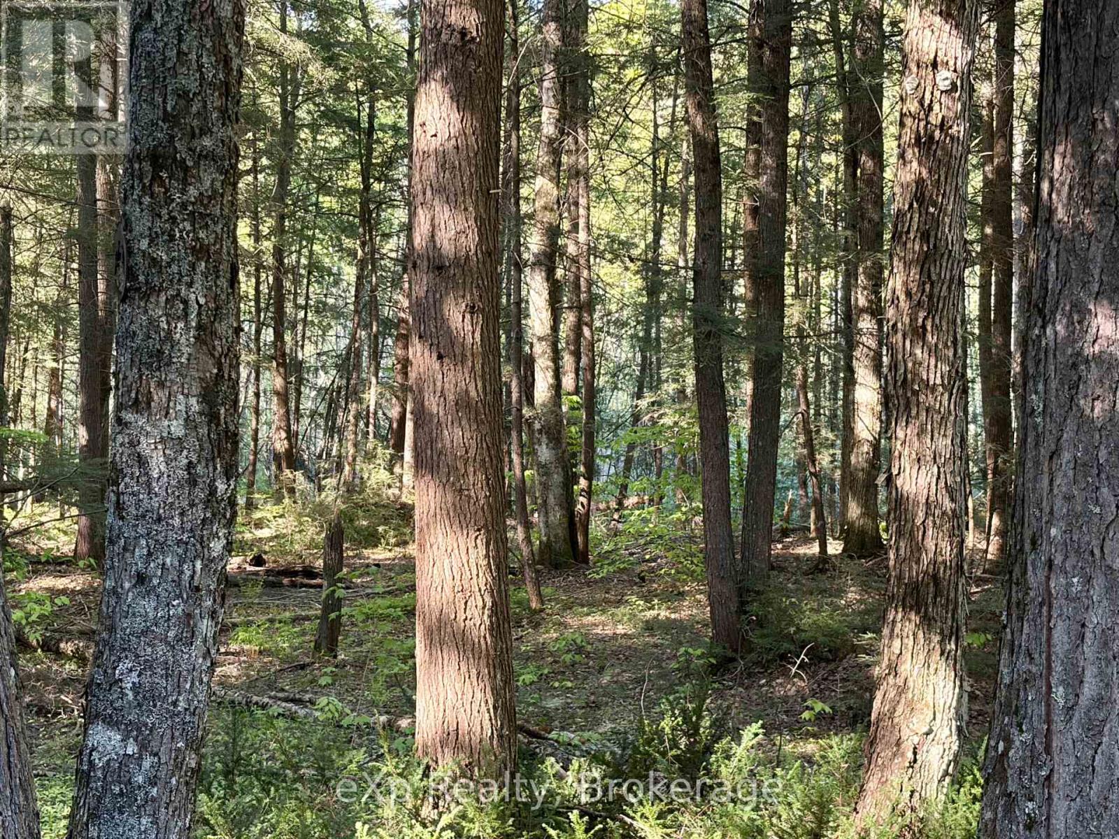 1080 Milne Road, Bracebridge, Ontario  P1L 1X1 - Photo 13 - X13219920