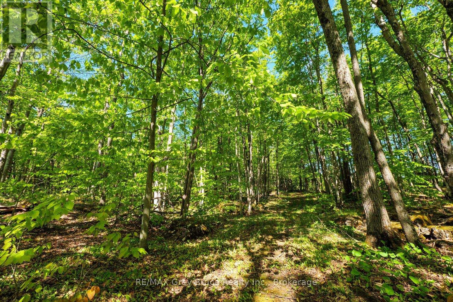 127 Crawford Drive, South Bruce Peninsula, Ontario  N0H 2T0 - Photo 48 - X13223418