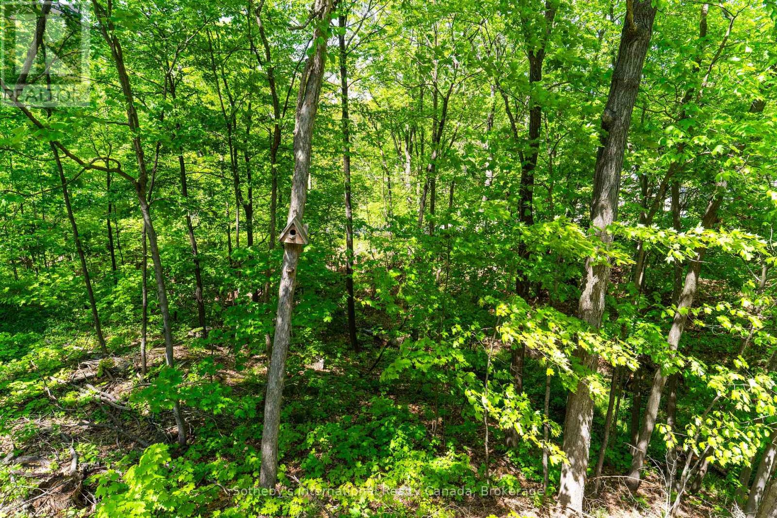 180 Clairmont Road, Gravenhurst, Ontario  P1P 1H9 - Photo 24 - X13226354
