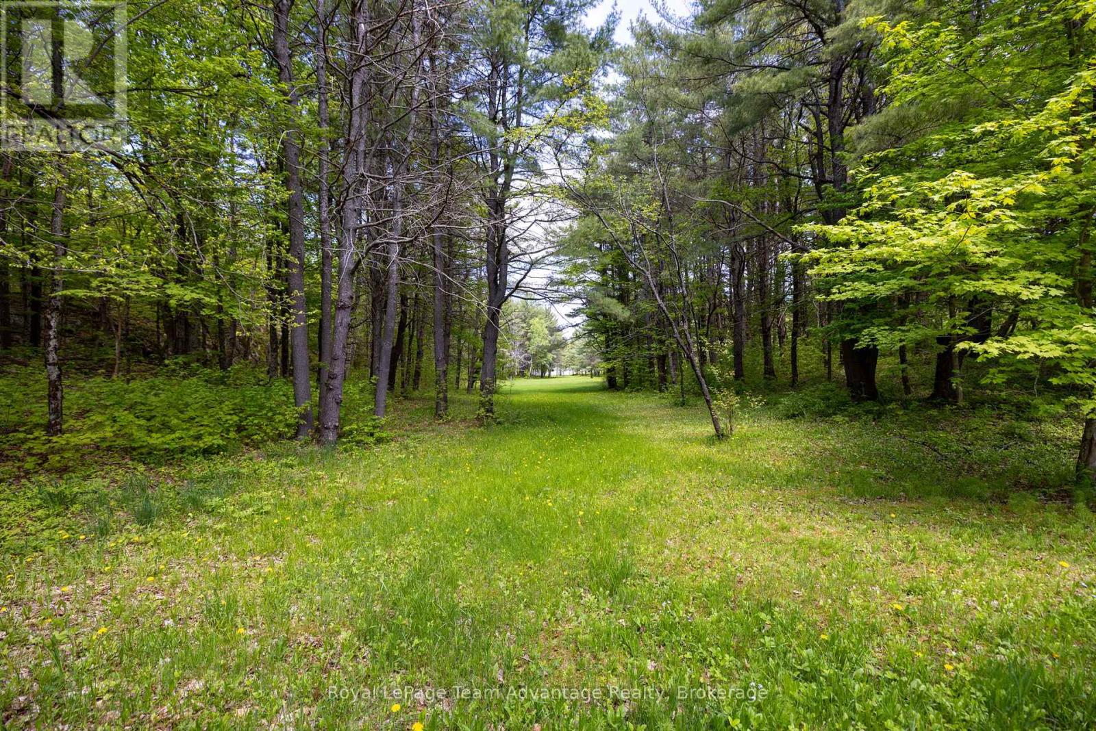 68 Lees Road, Mckellar, Ontario  P2A 0B4 - Photo 45 - X13230936