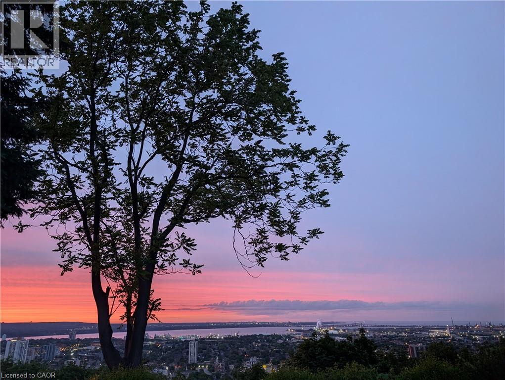 47 Mountain Park Avenue, Hamilton, Ontario  L9A 1A1 - Photo 49 - 40835660