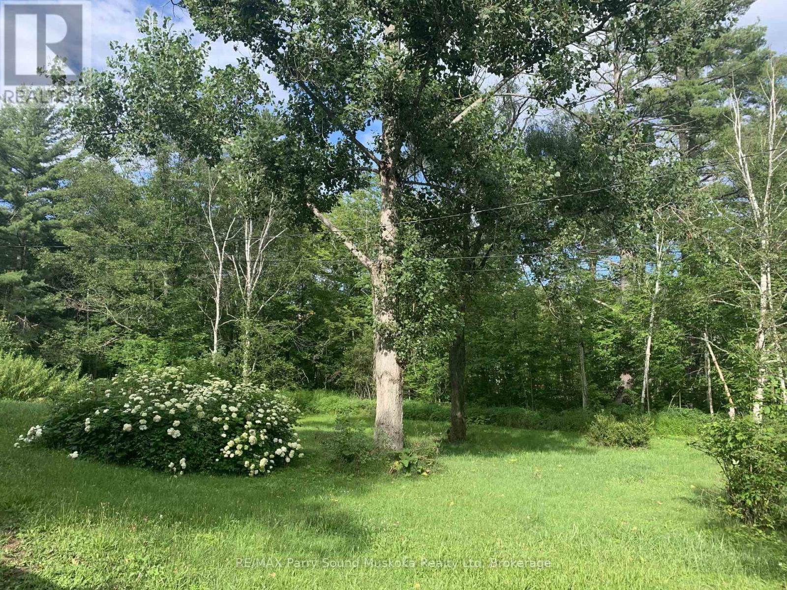 288 Rankin Lake Road, Seguin, Ontario  P2A 2W8 - Photo 10 - X13231710