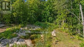 288 Rankin Lake Road, Seguin, Ontario  P2A 2W8 - Photo 17 - X13231710