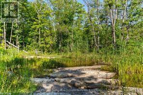 288 Rankin Lake Road, Seguin, Ontario  P2A 2W8 - Photo 22 - X13231710