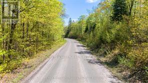 288 Rankin Lake Road, Seguin, Ontario  P2A 2W8 - Photo 24 - X13231710