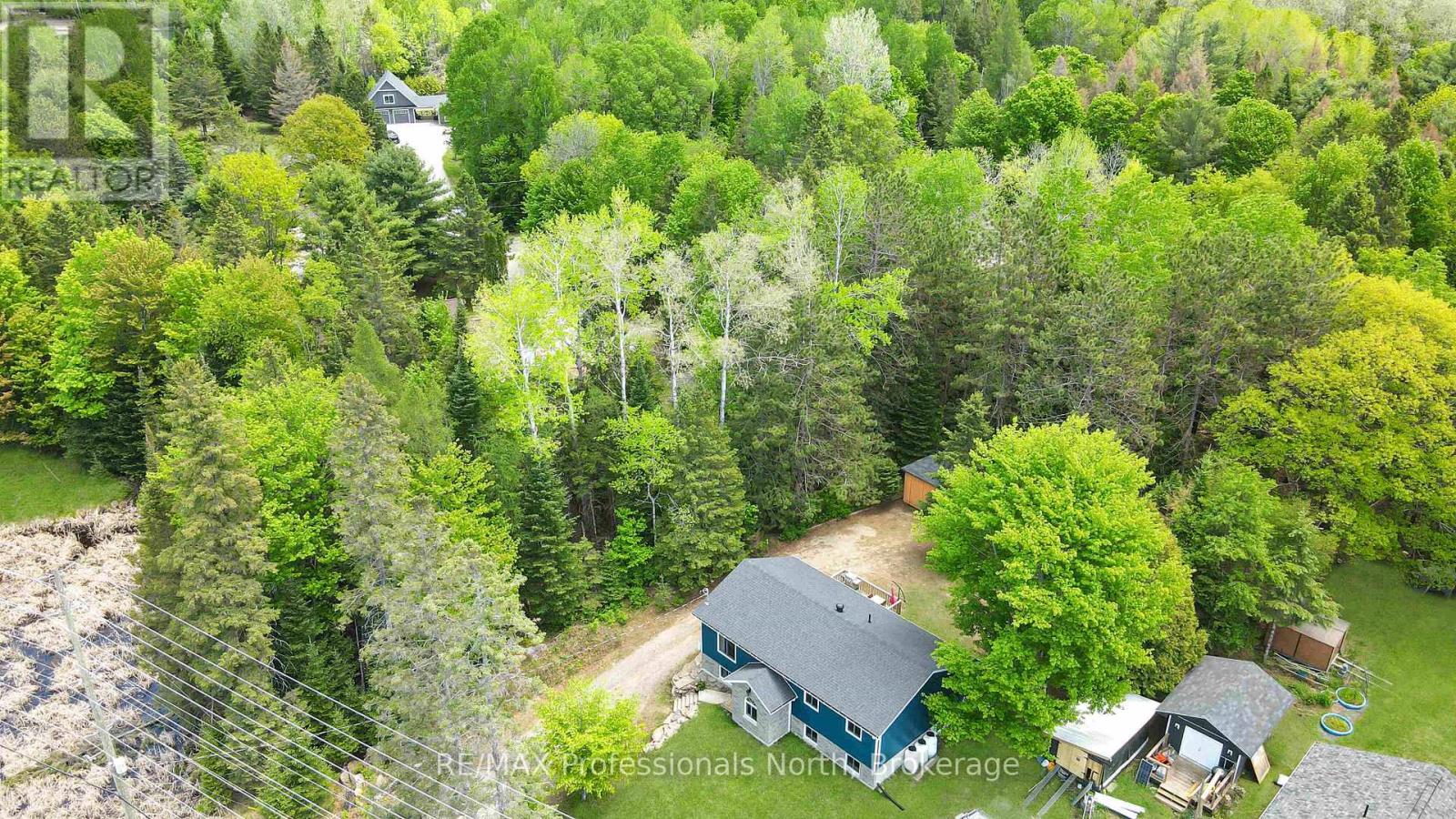 4342 County Road 21, Dysart Et Al, Ontario  K0M 1S0 - Photo 4 - X13232726