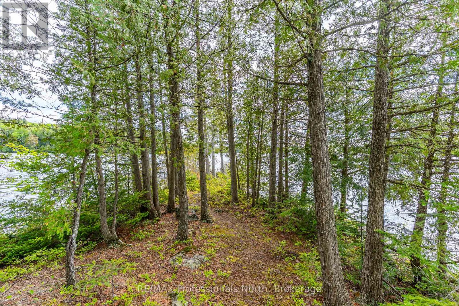 1294 Trinity Road, Highlands East, Ontario  K0L 2A0 - Photo 38 - X13234494