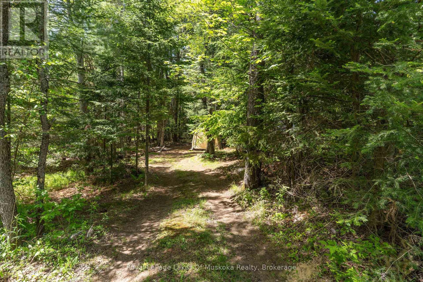 244 South Mary Lake Road, Huntsville, Ontario  P0B 1L0 - Photo 20 - X13235624