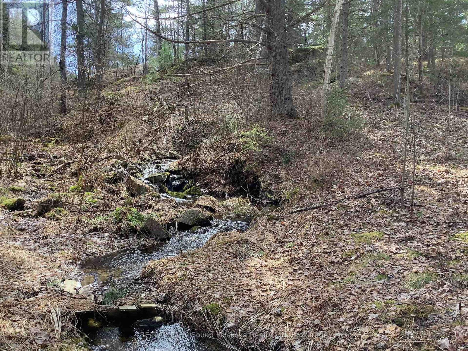 410 Ranger, Parry Sound Remote Area, Ontario  P0H 1S0 - Photo 20 - X13236406