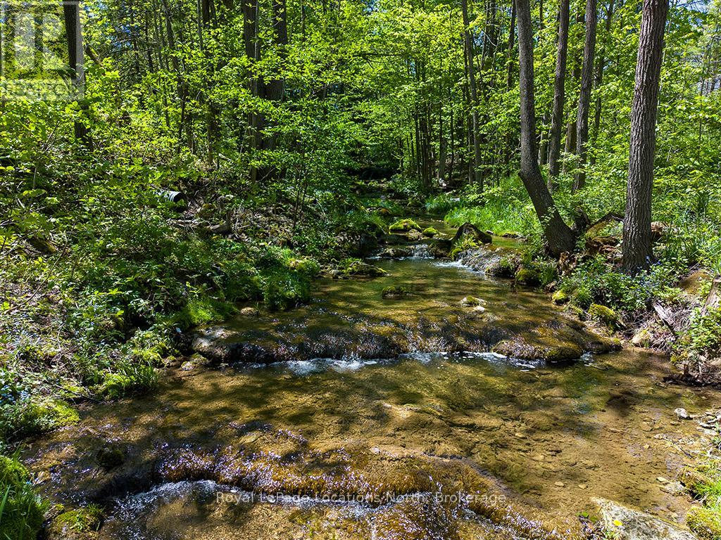 486056 Grey Road 30, Grey Highlands, Ontario  N0C 1H0 - Photo 25 - X13238772