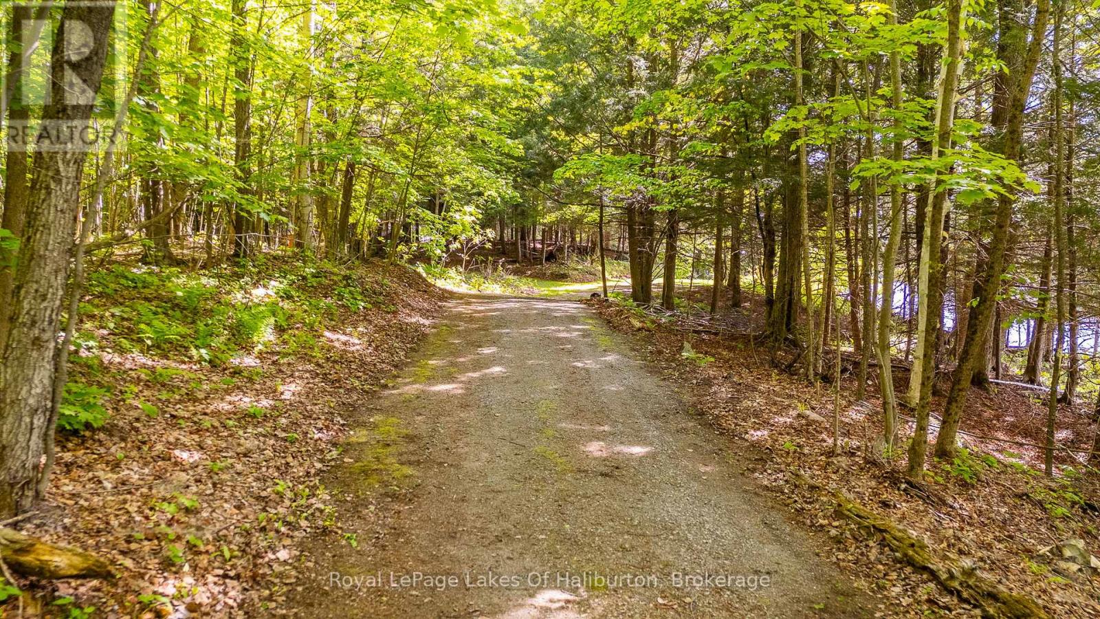 1123 Balmoral Lane, Highlands East, Ontario  K0M 1R0 - Photo 48 - X13239002