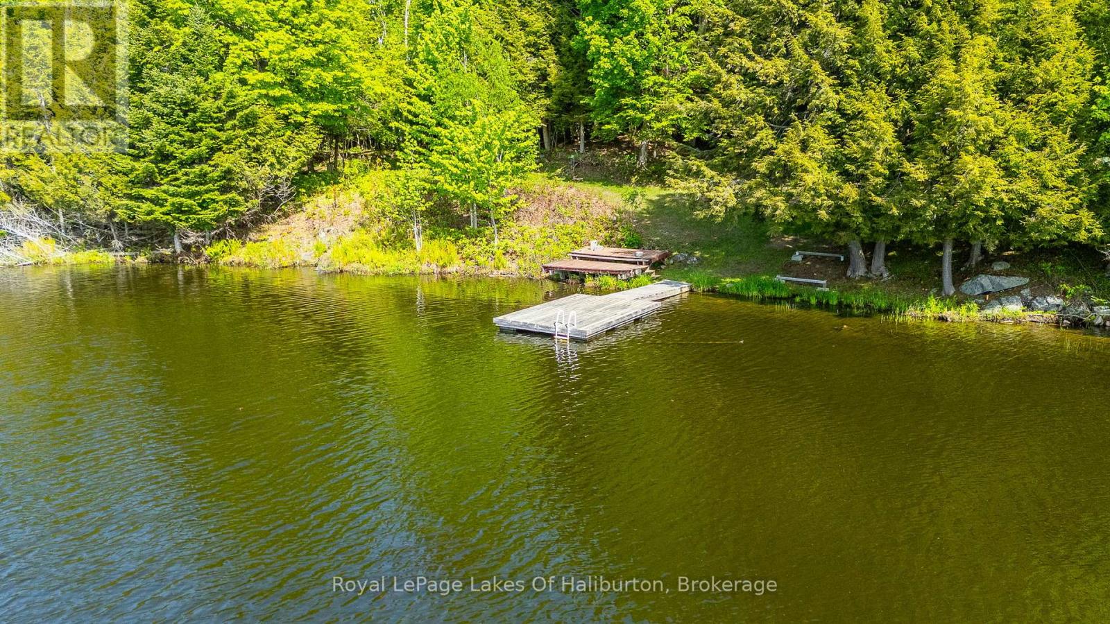1123 Balmoral Lane, Highlands East, Ontario  K0M 1R0 - Photo 5 - X13239002