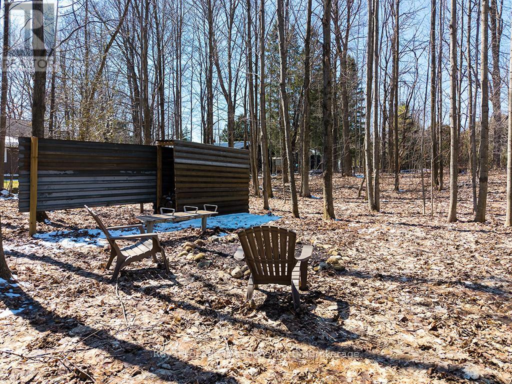 166 Raglan Street, Grey Highlands, Ontario  N0C 1E0 - Photo 16 - X13239728