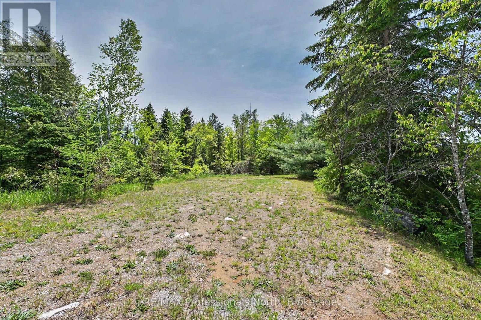 3186 County Road 121 Road, Trent Lakes, Ontario  K0M 1C0 - Photo 39 - X13240058