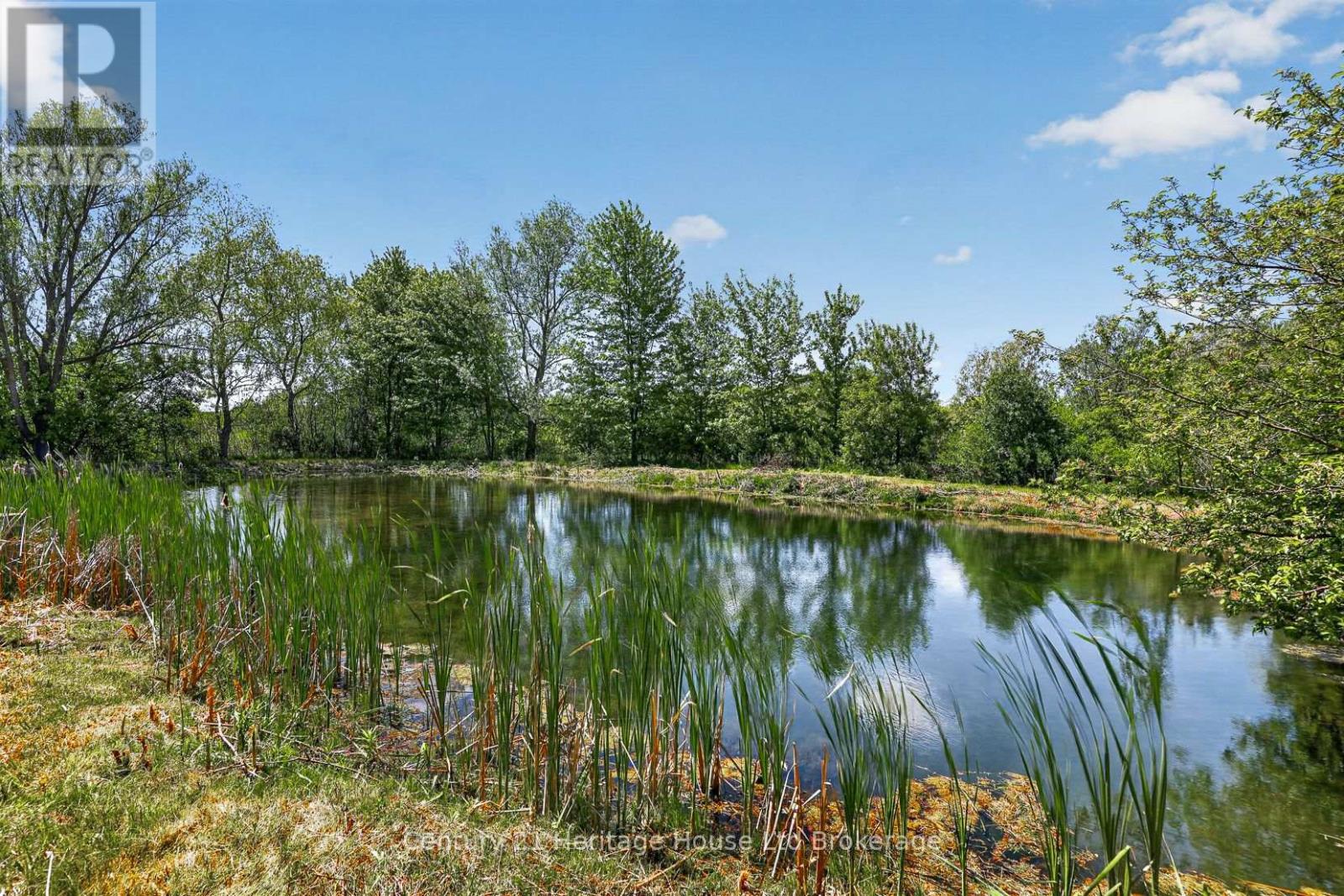 257 Bateman Line, Brant, Ontario  N0E 1K0 - Photo 4 - X13241786