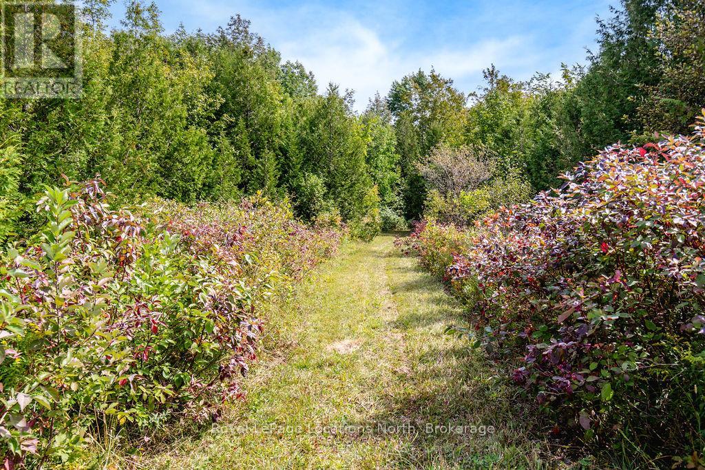 429540 8th B Concession, Grey Highlands, Ontario  N0C 1M0 - Photo 50 - X13241720