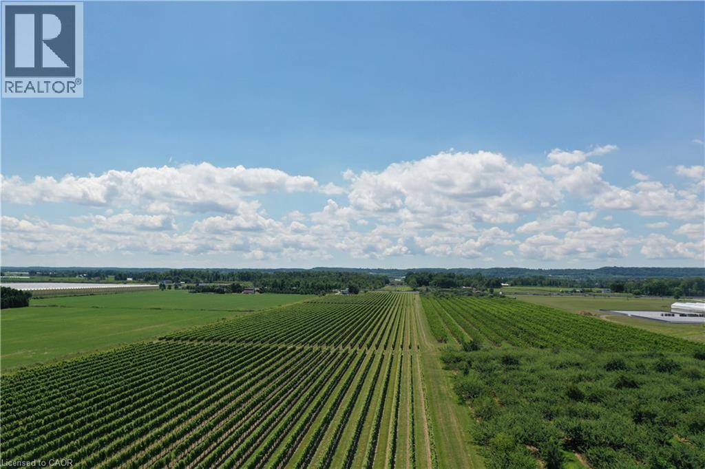 3705 Service Road N, Beamsville, Ontario  L3J 1J3 - Photo 11 - 40836900