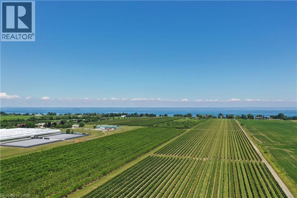 3705 Service Road N, Beamsville, Ontario  L3J 1J3 - Photo 13 - 40836900